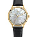 Часы Greenwich Callisto GW 341.21.53